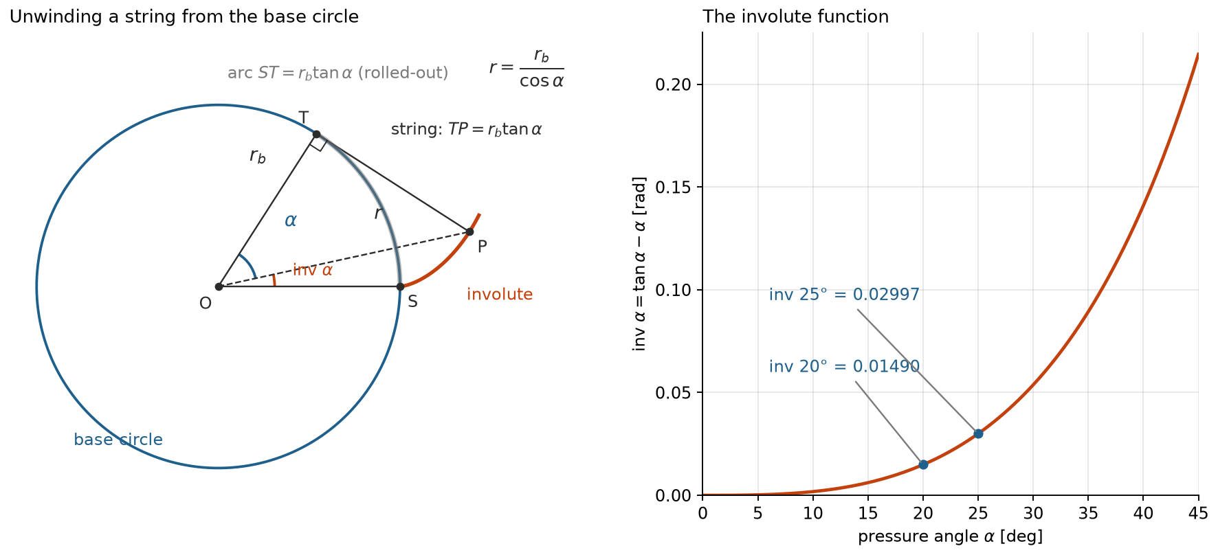 Involute construction from a base circle